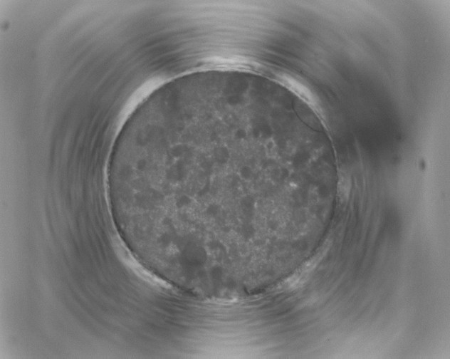 X0000066091283200603241447