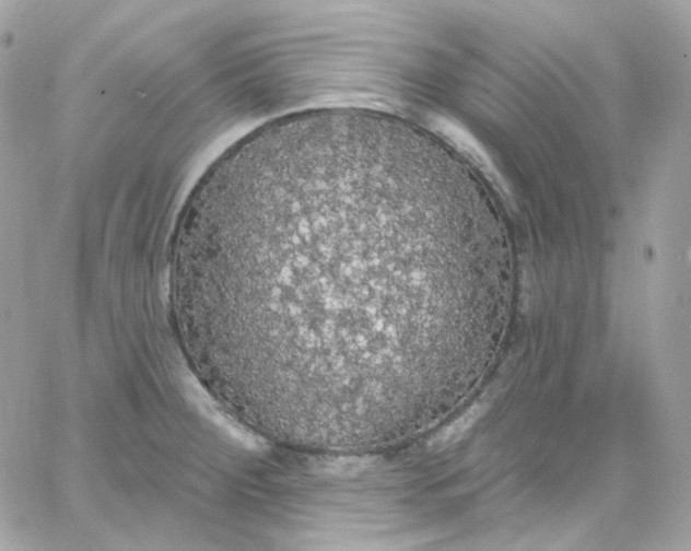 X0000066091284200603241447