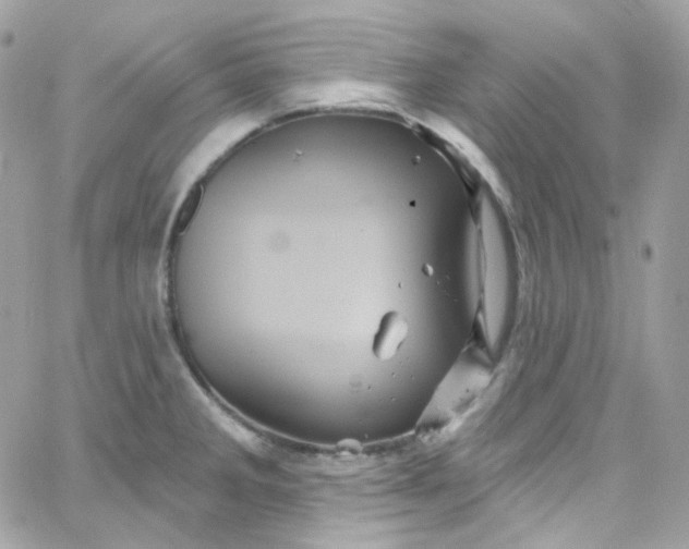 X0000066091285200603241447