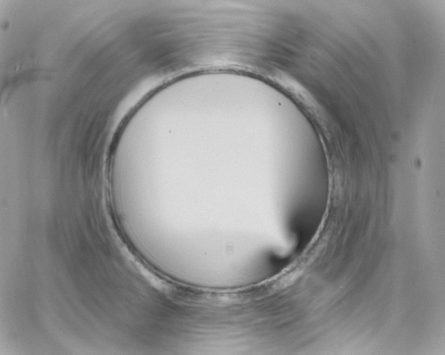 X0000066091286200603241447