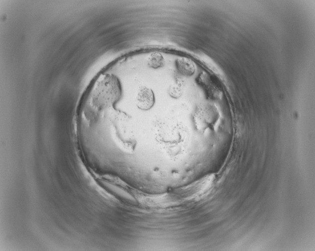 X0000066091287200603241447