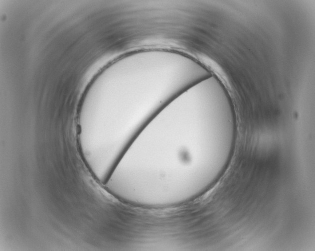 X0000066091288200603241447