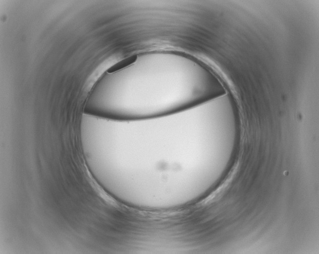 X0000066091289200603241447