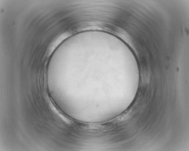 X0000066091290200603241447