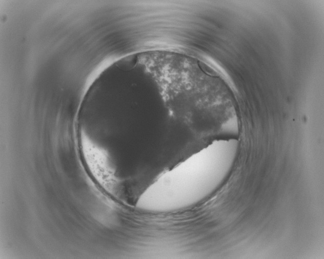 X0000066091291200603241447