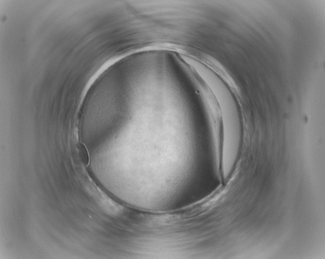 X0000066091292200603241447