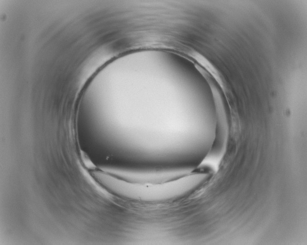 X0000066091293200603241447