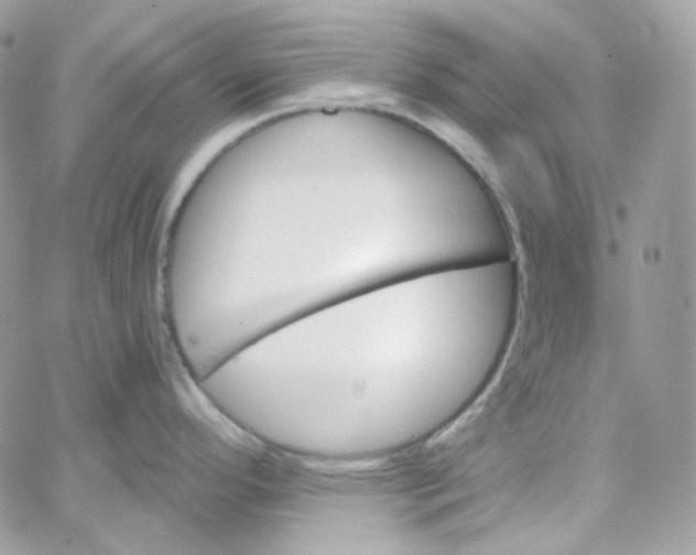 X0000066091296200603241447