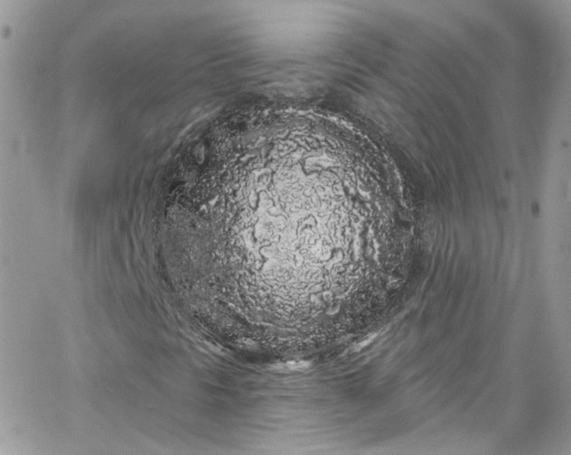 X0000066091297200603241446