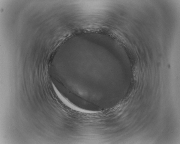 X0000066091298200603241447