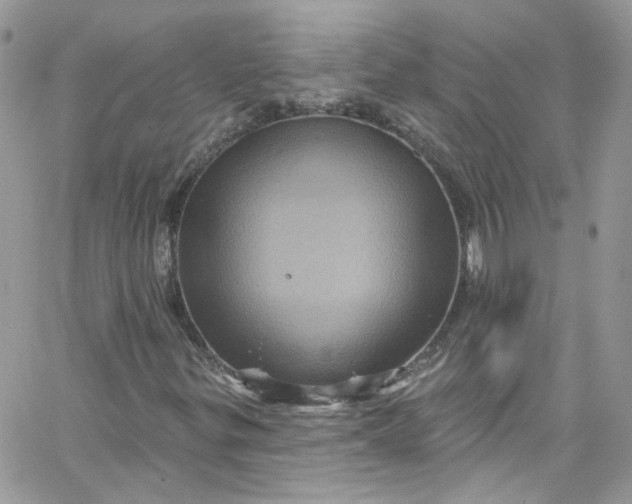 X0000066091299200603241447