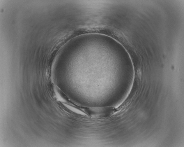 X0000066091300200603241447