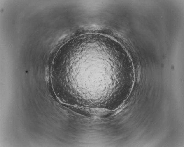 X0000066091301200603241447