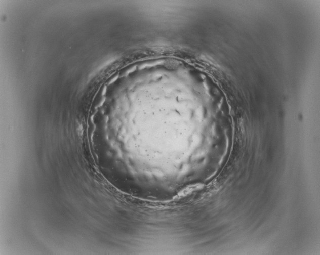 X0000066091302200603241447