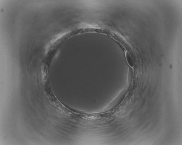 X0000066091303200603241447