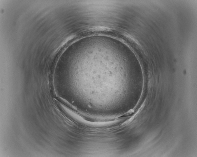 X0000066091305200603241447