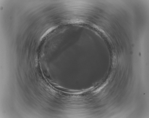 X0000066091306200603241447