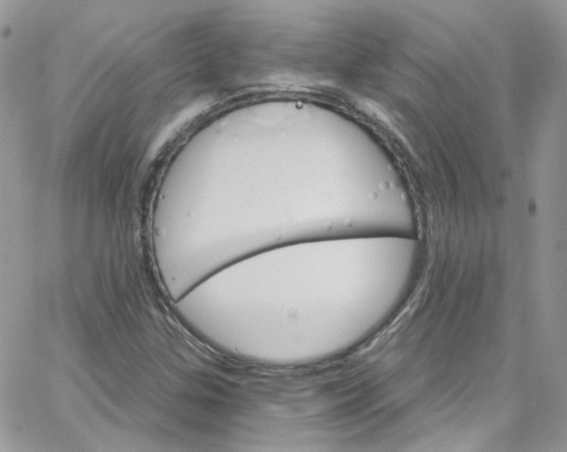 X0000066091307200603241447