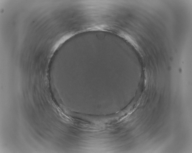 X0000066091308200603241447