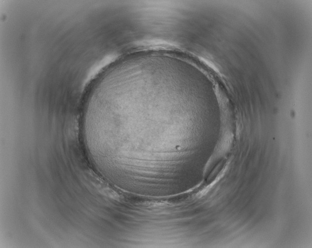 X0000066091309200603241447