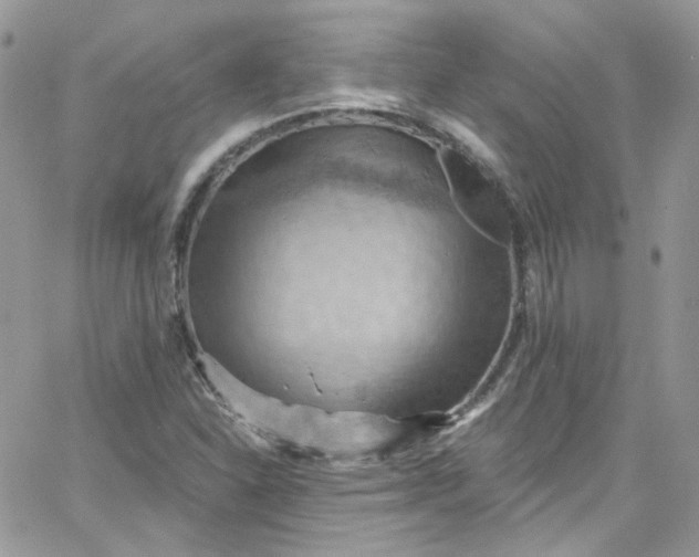 X0000066091310200603241447