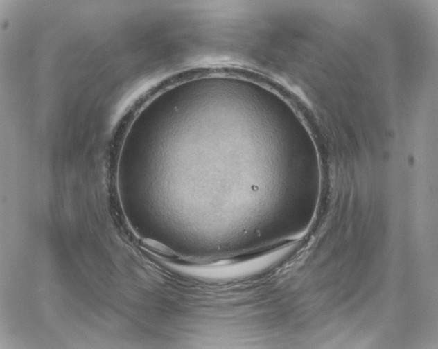 X0000066091311200603241447