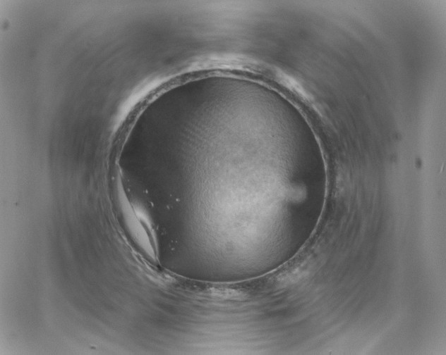 X0000066091312200603241447