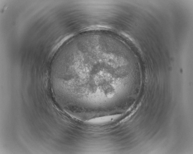 X0000066091313200603241447