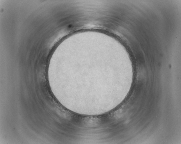 X0000066091314200603241447