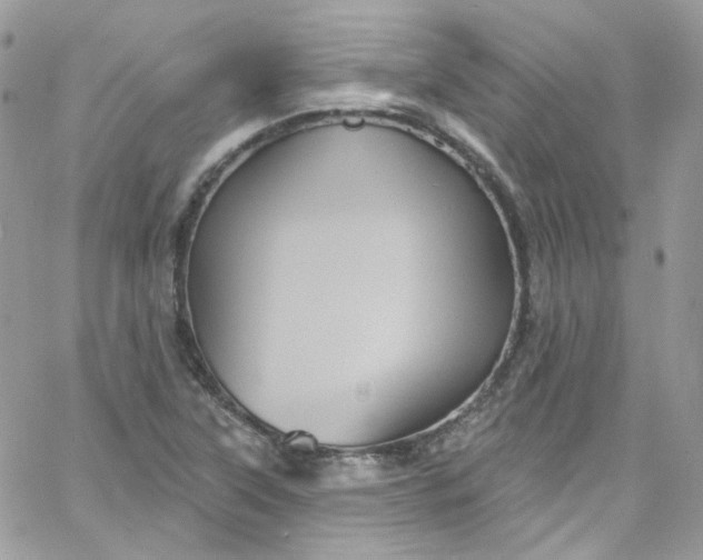 X0000066091315200603241447