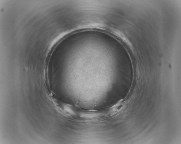 X0000066091316200603241447