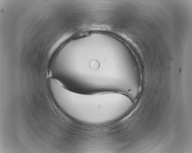 X0000066091317200603241447