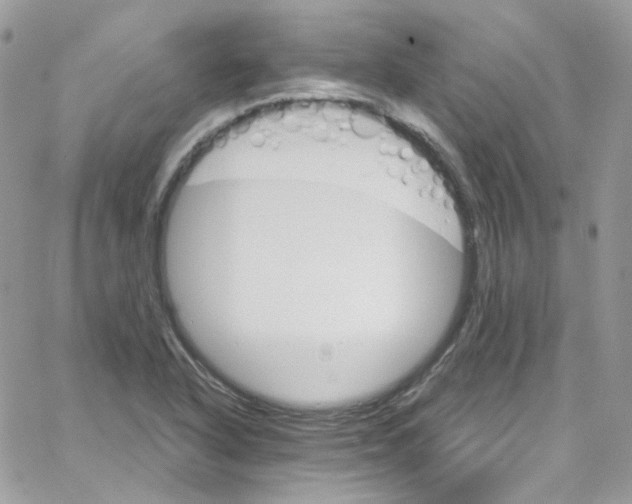 X0000066091318200603241447