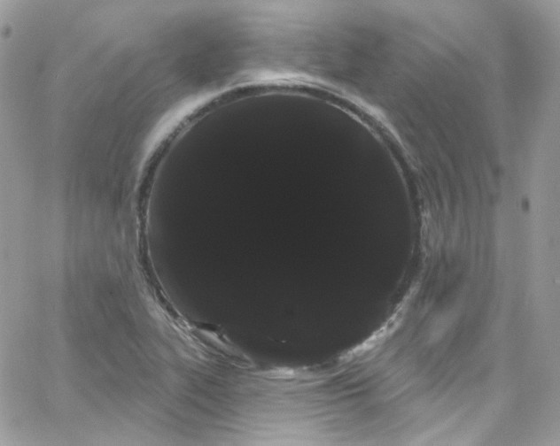 X0000066091319200603241447