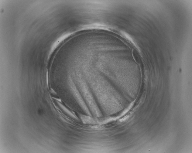 X0000066091320200603241447