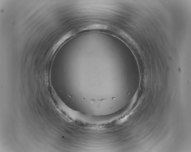 X0000066091321200603241447