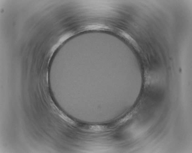 X0000066091322200603241447