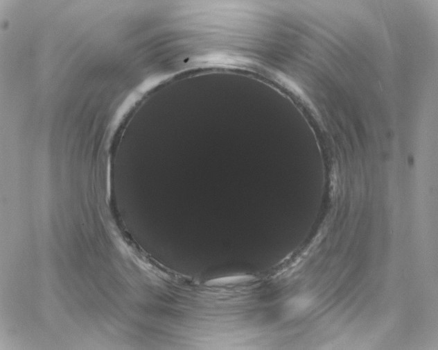 X0000066091323200603241447