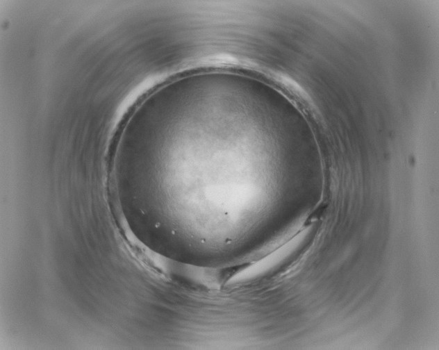 X0000066091326200603241447