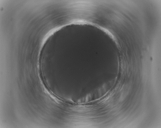 X0000066091327200603241447