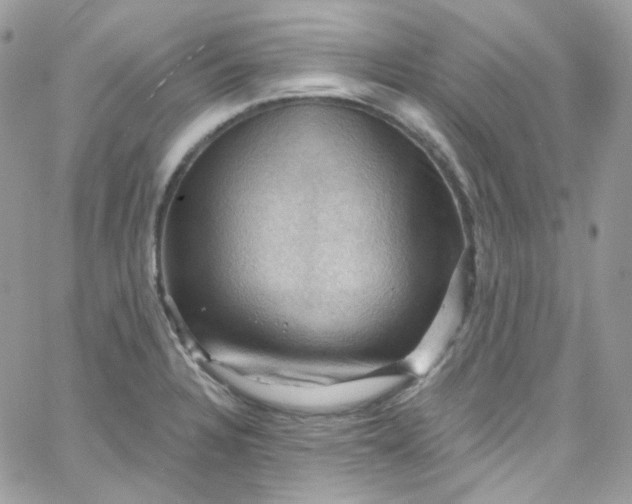 X0000066091328200603241447