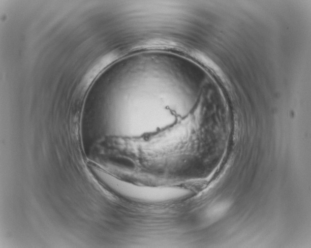 X0000066091329200603241447