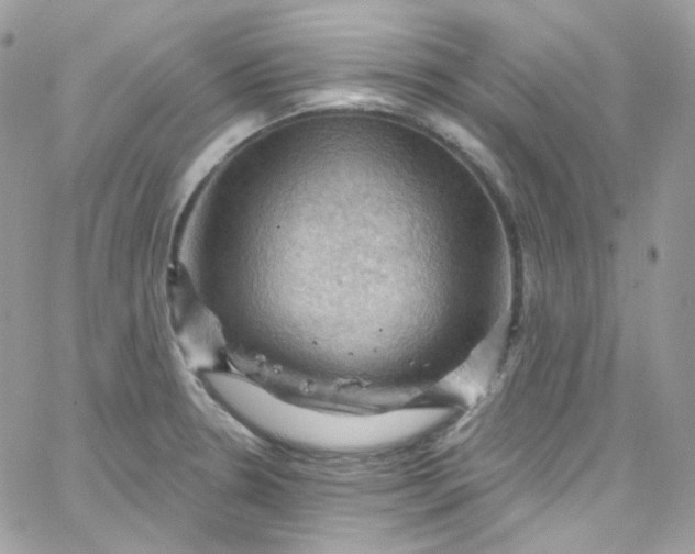 X0000066091330200603241447