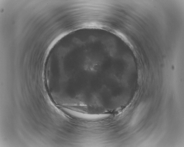 X0000066091331200603241447