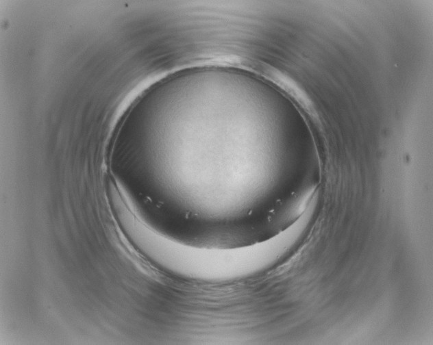 X0000066091332200603241447