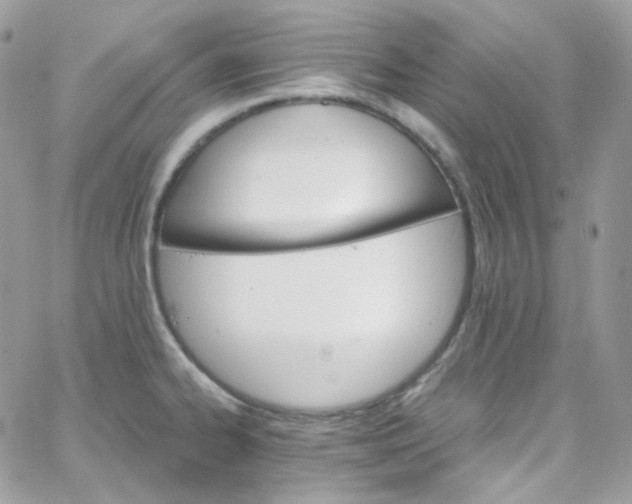 X0000066091334200603241447