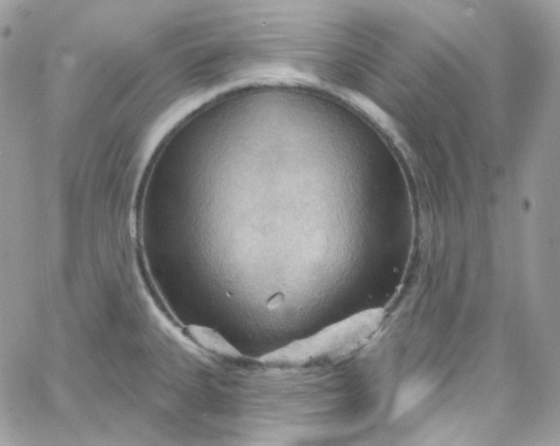 X0000066091335200603241447