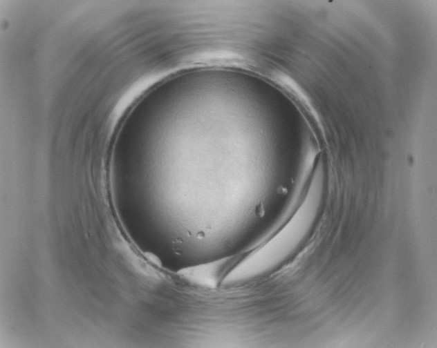 X0000066091336200603241447