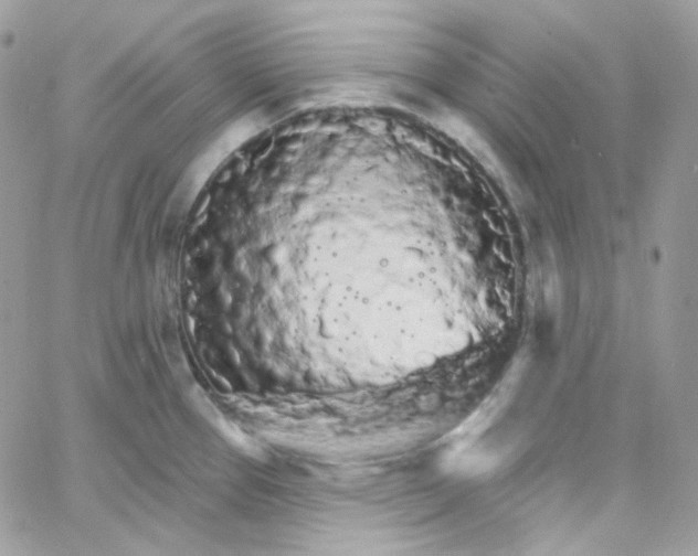 X0000066091337200603241447