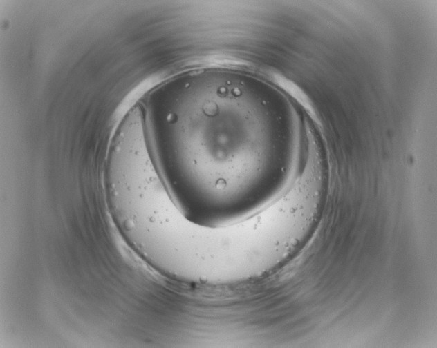 X0000066091338200603241447